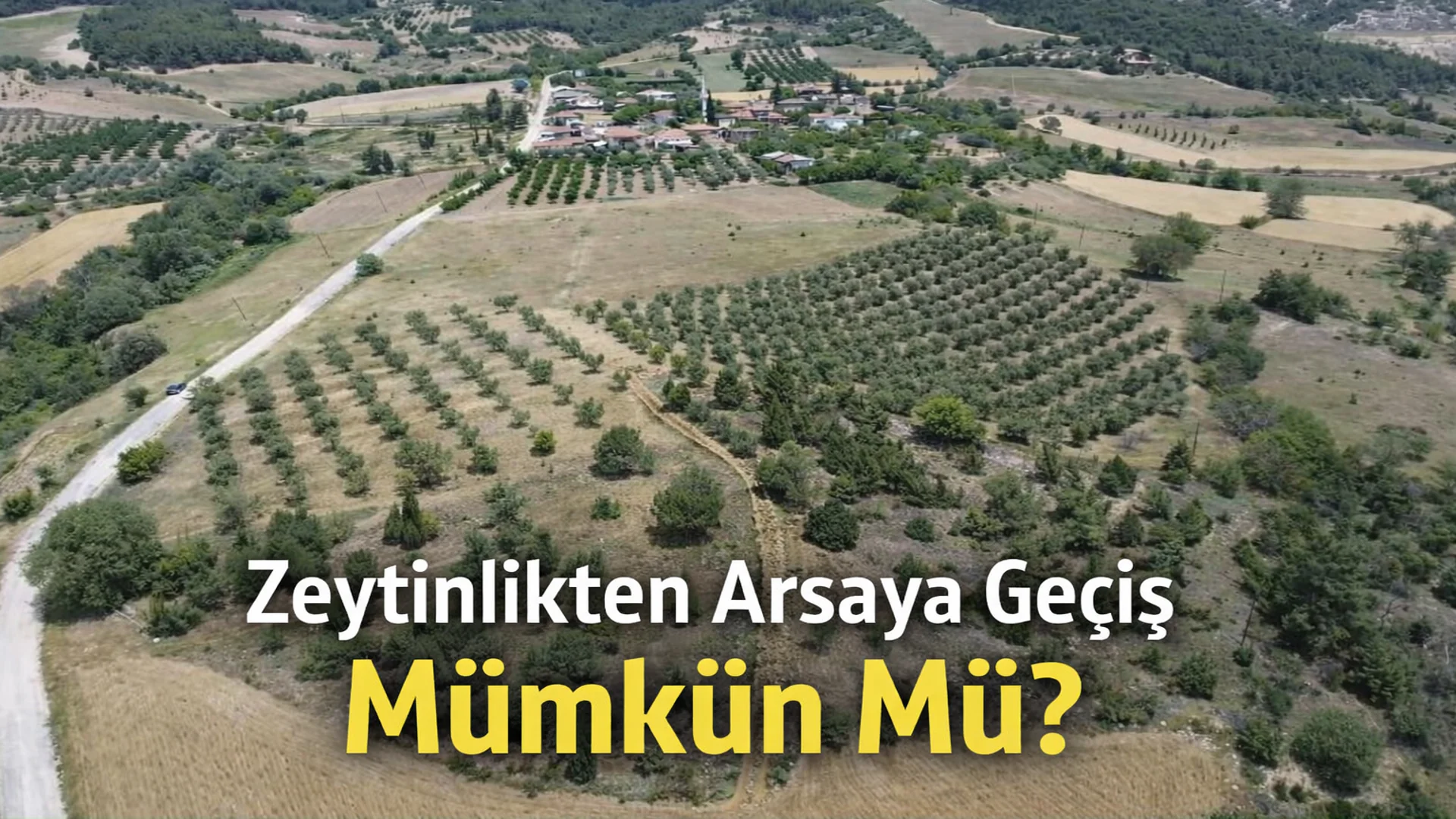 Zeytinlikten Arsaya Gecis Mumkun Mu 4 ZEYTİNLİK