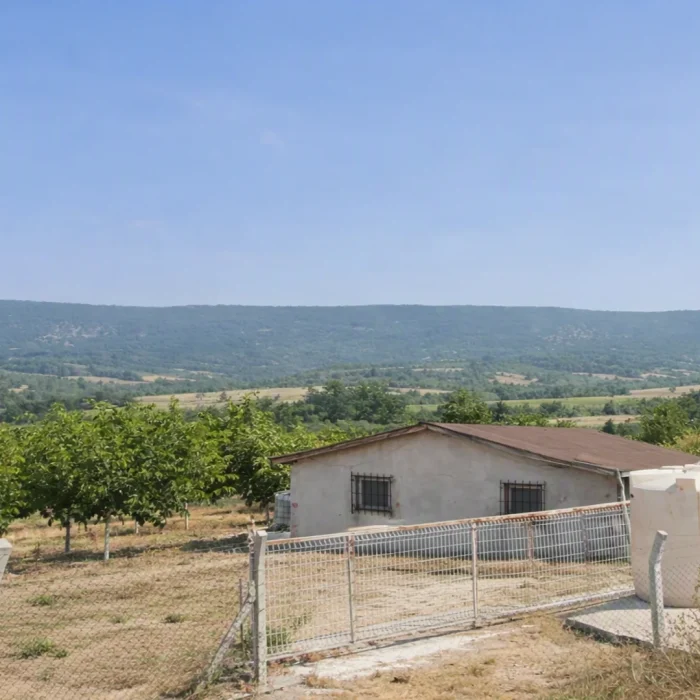 Gölpazarı Satılık Meyve Bahçesi