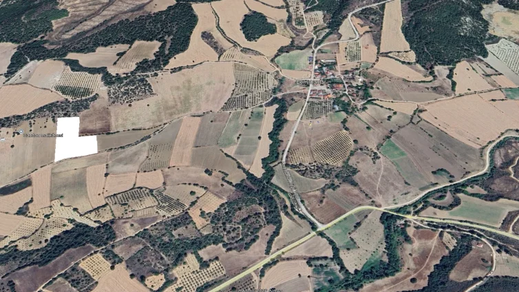 Gölpazarı Demirhanlar Köyü 13300 m² Satılık Tarla
