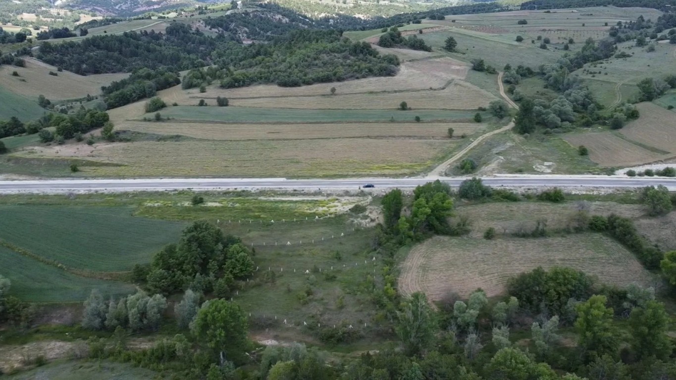 Yenipazar Satilik Tarim Arazileri Bilecik Tarla 1 5 Yenipazar Satilik Tarim Arazileri Bilecik Tarla 1 4